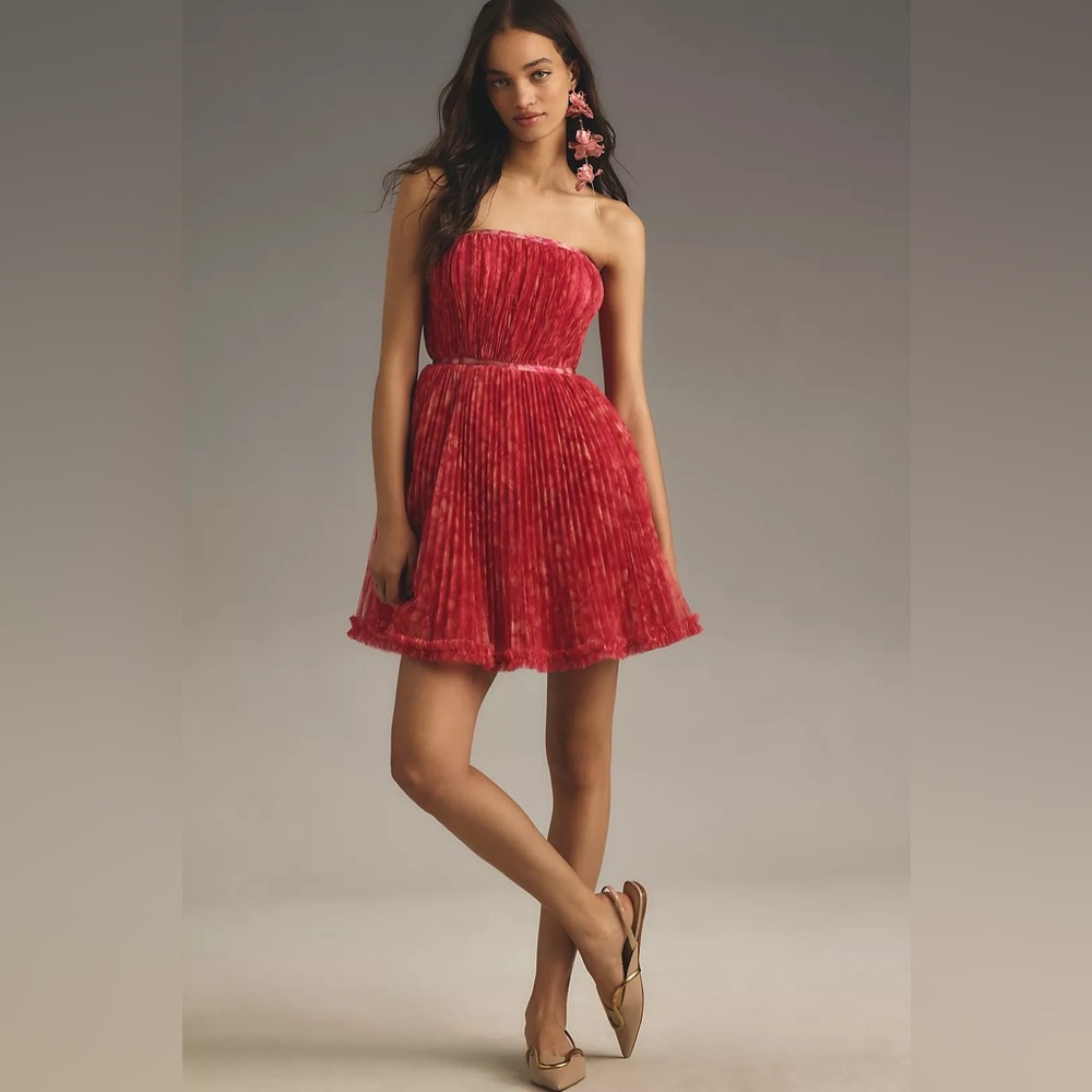 Hutch Lenzy Strapless Mini Dress